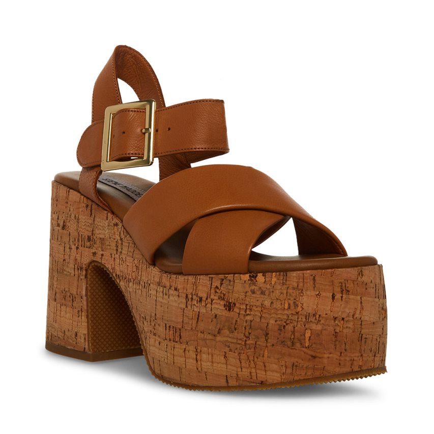 Brown Steve Madden Palmer Leather Women's Platform Sandals | PH 0365NCL